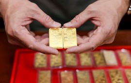 Giá vàng vừa hồi phục đã quay đầu giảm