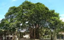Báo Nhân Dân ra mắt không gian nghệ thuật cộng đồng với chương trình âm nhạc “Tán Đa”