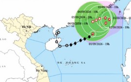 Bão số 5 di chuyển chậm dần, dự báo tồn tại nhiều ngày trên Biển Đông