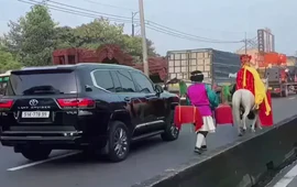 Xác minh clip 'thầy trò Đường Tăng' cưỡi ngựa trên làn ô tô ở TP.HCM