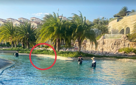 Vụ bé 11 tuổi người Nhật tử vong ở hồ bơi tại resort: Khởi tố bị can Nguyễn Quốc Quân SN 1961