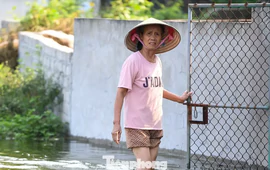 Sau 5 ngày, ‘rốn lũ’ Hà Nội vẫn mênh mông nước
