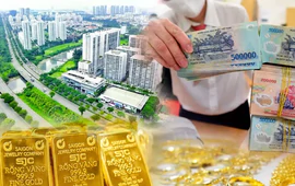 Có tiền nhàn rỗi nên đầu tư gì lúc này?
