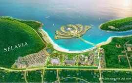 Đang treo hơn 1.700 tỷ tại Vịnh Đầm, TTC Land từ bỏ quyền mua cổ phần Toàn Hải Vân