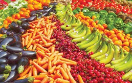 Năm 2026, Việt Nam sẽ ghi nhận một kỷ lục mới, là gì vậy?