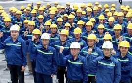 CEO VinCons tiết lộ 100.000 công nhân tuyển mới từ vùng nông thôn, miền núi, không lấy của doanh nghiệp khác
