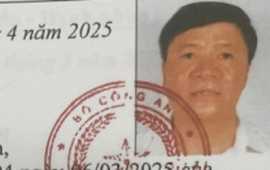 Đề nghị truy tố Chủ tịch Công ty Cây xanh Công Minh
