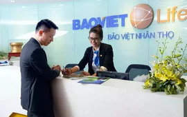 Doanh thu bảo hiểm đi xuống, lợi nhuận vẫn tăng mạnh