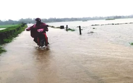 Huế phát cảnh báo