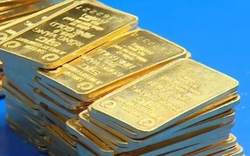 Sáng 23/1: Giá vàng tăng 4 triệu đồng trong 60 phút