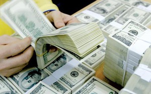 Dự trữ ngoại hối 45 tỷ USD, cuối năm, tỷ giá trong tầm kiểm soát Dự trữ ngoại hối 45 tỷ USD, cuối năm, tỷ giá trong tầm kiểm soát