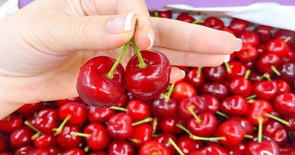 Từ đắt đỏ xuống bình dân, cherry Mỹ hàng Vip đang giảm giá 