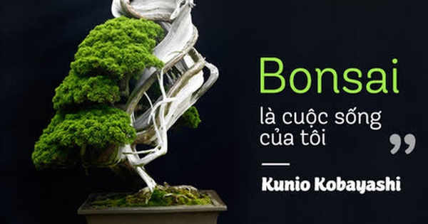 Top 10 cây Bonsai đẹp nhất thế giới