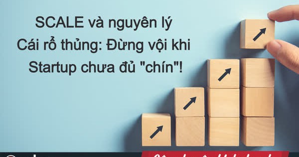 Tầm quan trọng của việc đưa ra kế hoạch scale up cho doanh nghiệp?