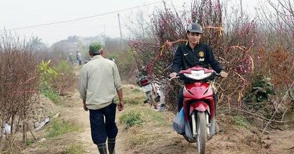 Phải nghỉ Tết sớm, môi giới bất động sản đi chạy xe ôm, giao hàng kiếm tiền lo Tết