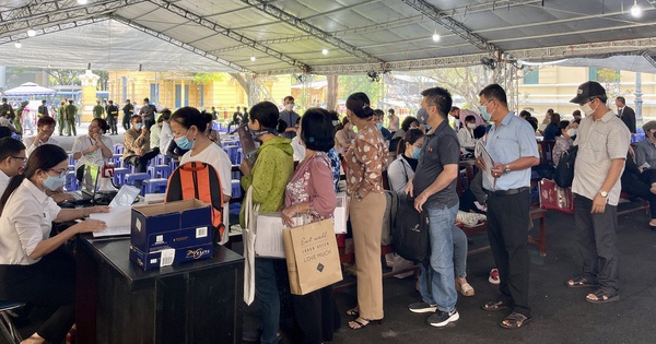 Bị hại vụ Alibaba phơi bày sự thật bị dắt vào... rừng!