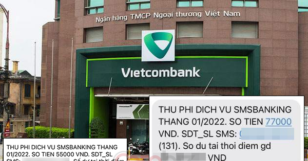 Vietcombank Thu được Bao Nhiêu Tiền Từ Hoạt động Dịch Vụ?