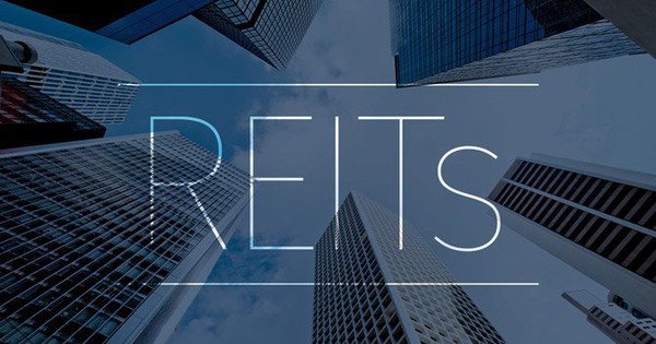 Các công ty REIT uy tín nhất hiện nay là gì?