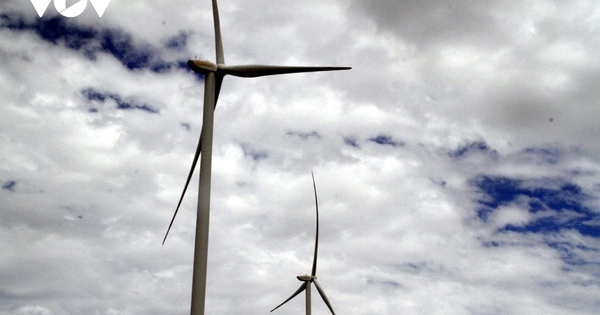 ĐBQH Lê Thanh Vân đề nghị Chính phủ thanh tra đặc biệt EVN