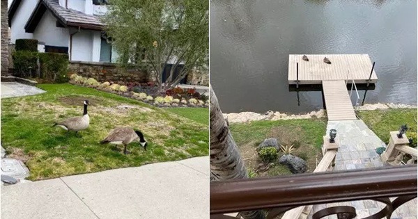 Cuộc sống sau vỡ nợ của tỉ phú Hoàng Kiều