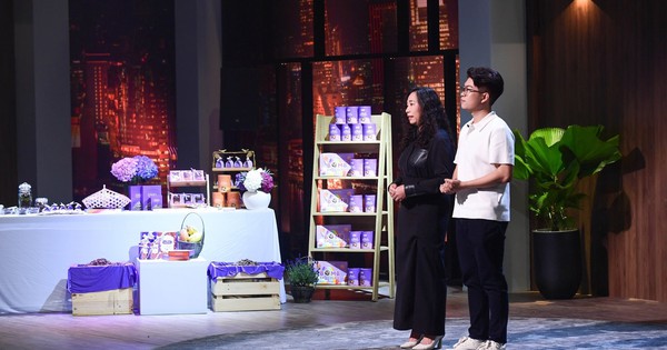 Startup chocolate Việt Nam được AEON để ý nhưng có nguy cơ gặp rắc rối vì "màu tím Đà Lạt", Shark Phi Vân ra deal cực táo bạo