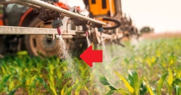 Mô hình kinh doanh đặc biệt “một vốn mười lời”, đã có công ty Việt Nam giành giải thưởng top đầu ASEAN