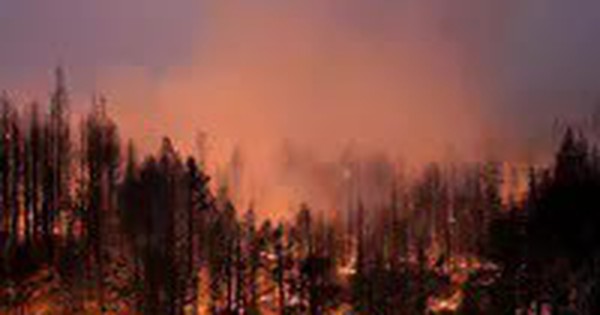 Phát hiện kho báu kim loại hiếm cần thiết cho năng lượng sạch trong tro than độc hại