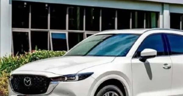 Có 900 triệu đồng, nên mua xe gầm cao nào?