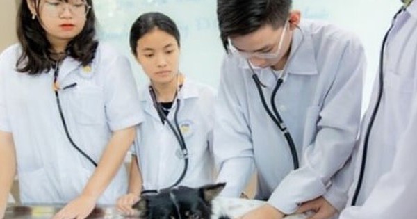 Mức lương ngành Thú y cho sinh viên vừa ra trường thế nào?