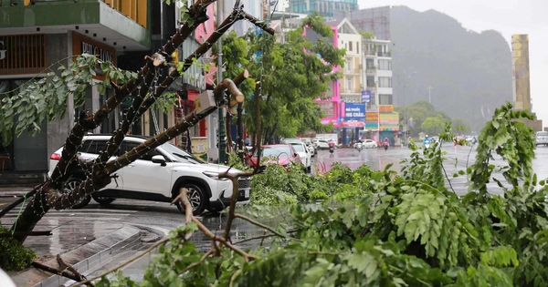 Những thiệt hại ban đầu khi bão số 2 đổ bộ Quảng Ninh