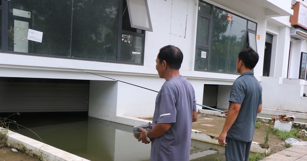 Câu cá dưới hầm biệt thự "triệu đô" ở Hà Nội