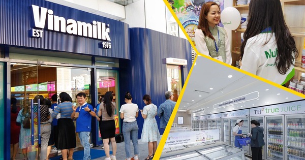 Giấc mơ hệ thống phân phối riêng của tam đại gia ngành sữa: Vinamilk ...