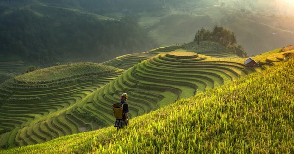 Huyện miền núi lọt danh sách "điểm đến có vẻ đẹp siêu thực", cách Hà Nội 300km, đường lên khó hơn Sa Pa