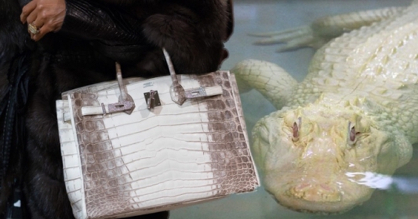 Hermès "bạch tạng" được làm kỳ công đến mức nào mà được coi là "chén thánh" giới sưu tập, có tiền không chắc mua được?