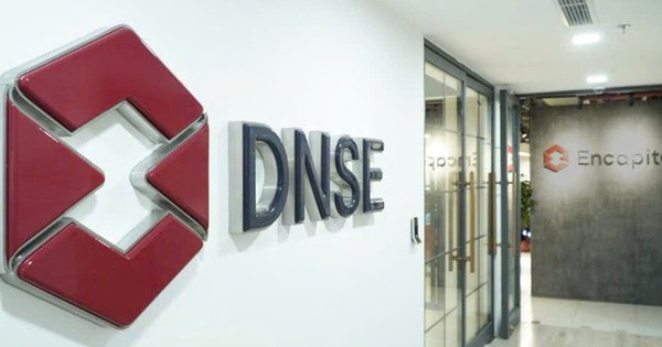 Chứng khoán DNSE chuẩn bị chào bán hơn 85 triệu cổ phiếu rẻ bằng một nửa thị giá