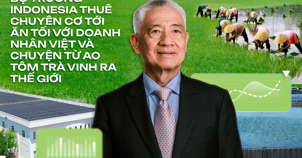 Doanh nhân Việt chọn trở về làm "kẻ khờ khạo": Biết nông dân sẽ thua mà không giúp được, đau lắm chứ!