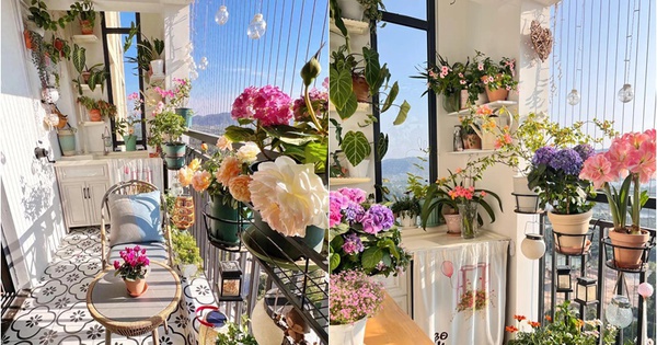 Nhà hàng xóm chỉ có ban công 4m² mà làm được khu vườn đẹp như resort, nhìn xong tôi chỉ biết thốt lên "đỉnh thật"!