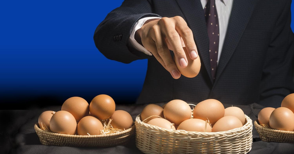 Đừng "bỏ trứng vào một giỏ": Bật mí cách phân bổ danh mục đầu tư chứng khoán an toàn và hiệu quả