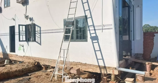 ‘Thần đèn’ đưa căn nhà xây nhầm trên đất người ...