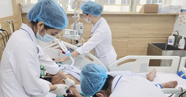 Bị rắn hổ mang cắn, nam bệnh nhân 34 tuổi tử vong vì bỏ qua ‘giờ vàng’ cấp cứu