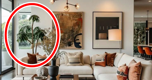 4 dấu hiệu ít ai biết: Khi xuất hiện trong nhà là lúc tài lộc của bạn đang lên