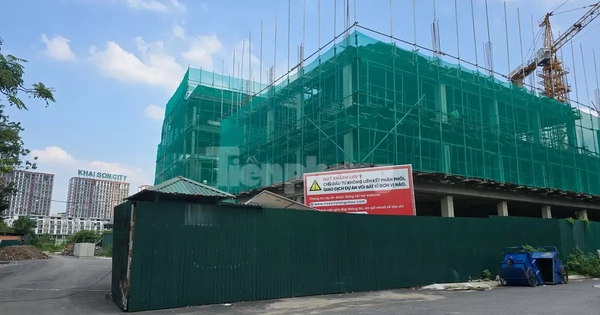 Hàng nghìn người "kêu trời" vì canh cả tuần vẫn không nộp được hồ sơ nhà ở xã hội online