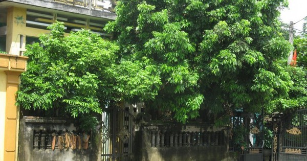 3 chi tiết trong nhà tưởng vô hại nhưng khiến tài vận cứ trôi đi