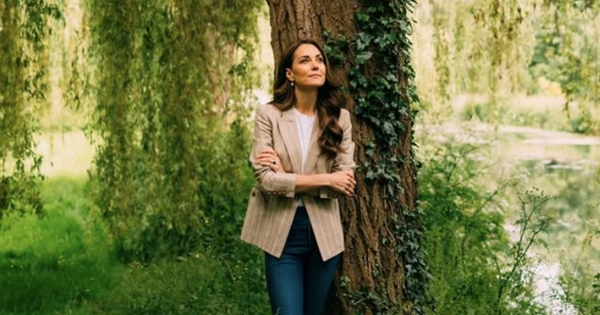 Giải mã "Tắm rừng" - liệu pháp phục hồi, cải thiện sức khỏe được Bill Gates, công tương Kate cực ưa chuộng