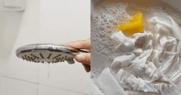 Tôi thật sự sốc trước 10 “bí kíp sống” của người dì trung niên - đơn giản mà đỉnh cao