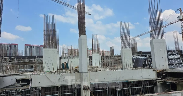 Chủ đầu tư thông tin việc người dân khó nộp hồ sơ online mua NOXH