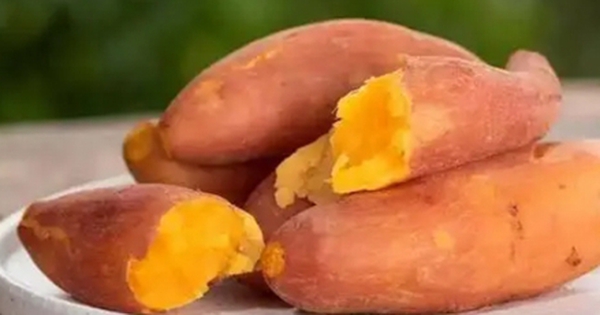 Khoai lang rất bổ dưỡng nhưng ăn kiểu này sẽ gây hại cơ thể