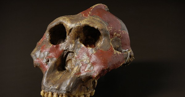 Thứ gây sốc ở 3 di chỉ cổ đại vừa làm thay đổi lịch sử loài người