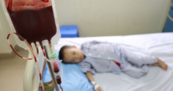 Việt Nam có hơn 10 triệu người mang gene bệnh tan máu bẩm sinh, mỗi năm có thêm 8.000 trẻ mắc bệnh ra đời
