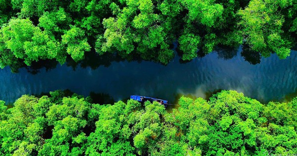 Vinhomes Green Paradise – "Bệ phóng giá trị" tương lai từ thiên nhiên và hạ tầng tại Cần Giờ